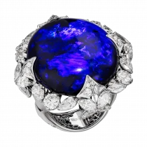 Ring «History of the Universe»