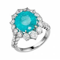 Ring «Legend of Brazil»