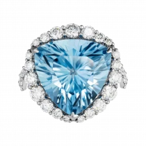 Ring «Special Trepidation»