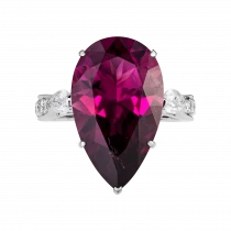 Ring «Ally of Success»