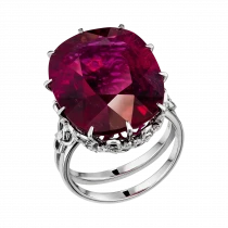 Ring «Prohibitions Burn to the Ground»