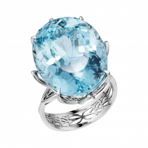 Ring «In the breath of primordial waters» Ring «In the breath of primordial waters»