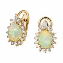 Earrings 02938-15