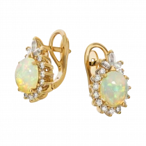 Earrings 02938-15
