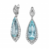 Earrings «Swan Elegy» Earrings «Swan Elegy»