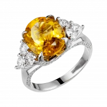 Ring «Captivating Image»