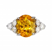 Ring «Captivating Image»