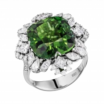 Ring «exclusively poetic»