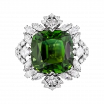 Ring «exclusively poetic»