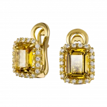Earrings «Aureus»-1