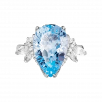 Ring «Tanbo»