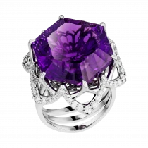 Set «The Secret of the Flower of the Night» Set «The Secret of the Flower of the Night»
