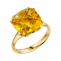Ring «Geometry of the Sun»