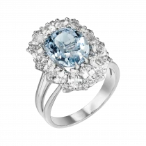 ing «Tepui»-1 ing «Tepui»-1