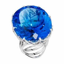 Ring «In Captivity at Sea» Ring «In Captivity at Sea»