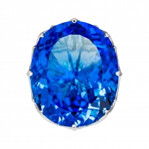 Ring «In Captivity at Sea» Ring «In Captivity at Sea»