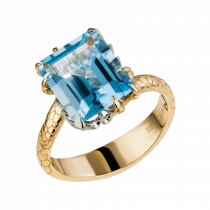 Ring «Protecting Sleep»