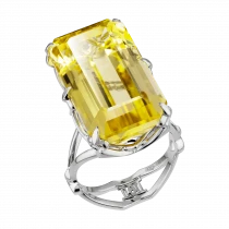 Set «Precious Manifesto»