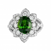 Ring «Highest Expressiveness»