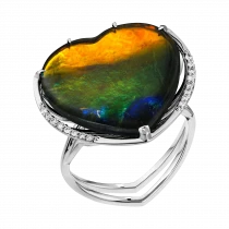 Set «Universe in the Palms»