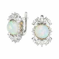 Earrings «Circle in a Stream of Light»