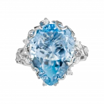 Ring «Snow Ligation»