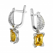 Earrings «Bright Joy»