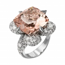 Ring «patterned cover»